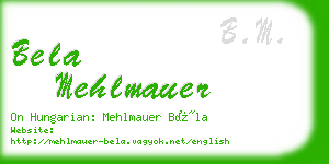 bela mehlmauer business card